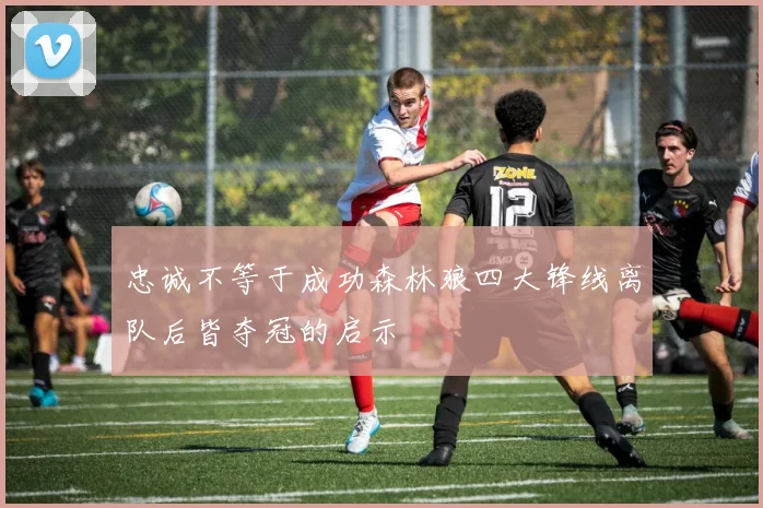 忠诚不等于成功森林狼四大锋线离队后皆夺冠的启示