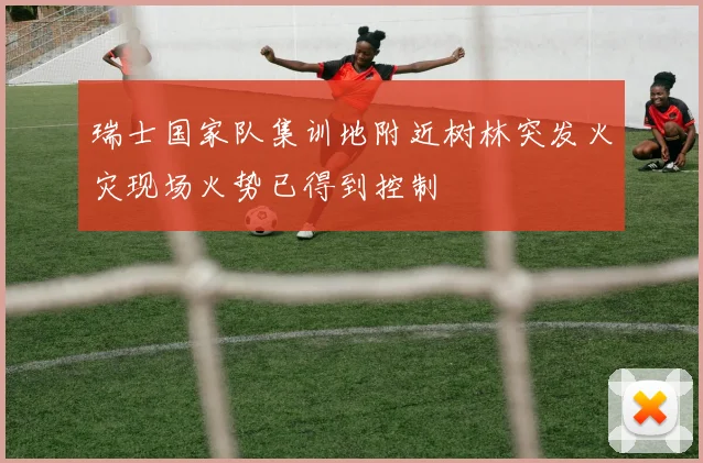 瑞士国家队集训地附近树林突发火灾现场火势已得到控制