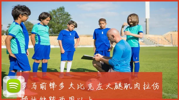 罗马前锋多夫比克左大腿肌肉拉伤预计缺阵两周以上
