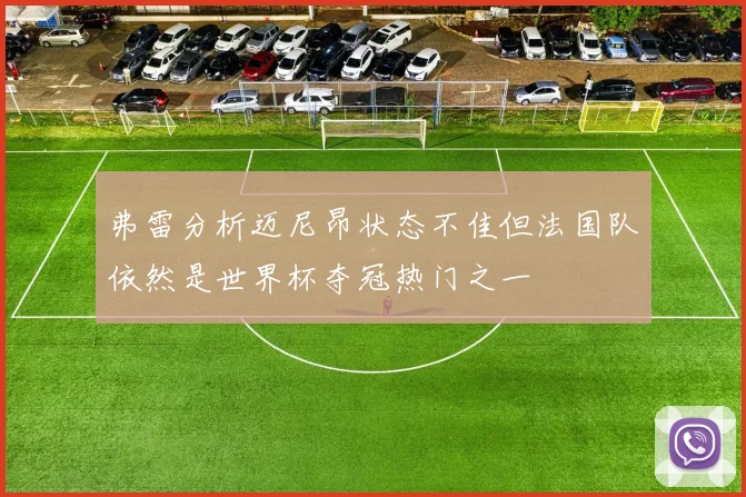 弗雷分析迈尼昂状态不佳但法国队依然是世界杯夺冠热门之一